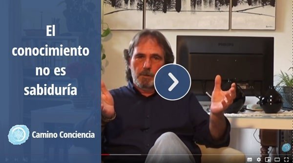El conocimiento no es sabiduría - Vídeos de desarrollo personal de Albert Cruells